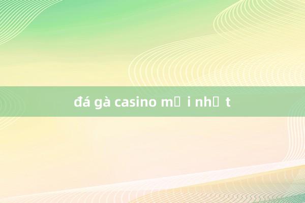 đá gà casino mới nhất