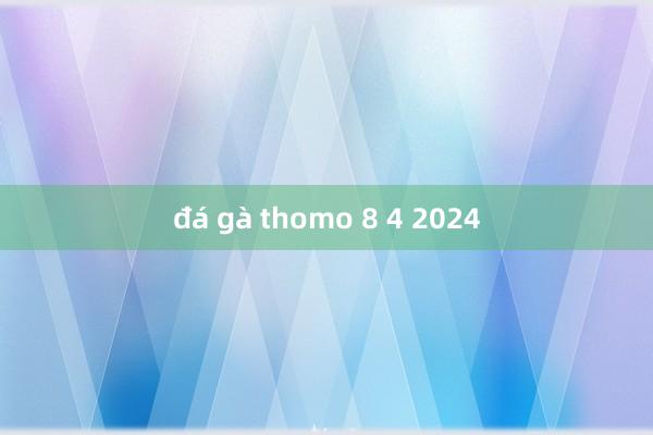 đá gà thomo 8 4 2024