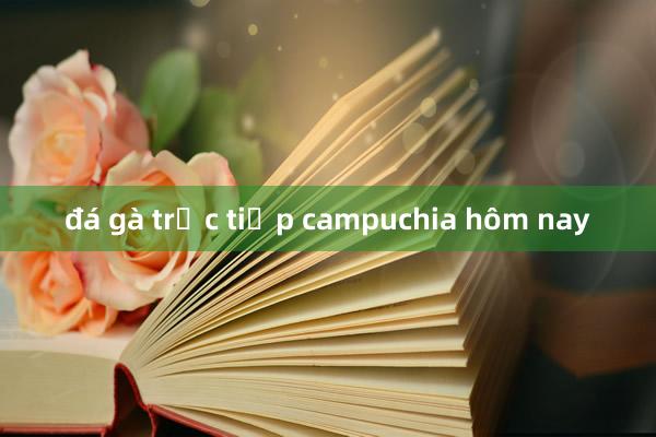 đá gà trực tiếp campuchia hôm nay