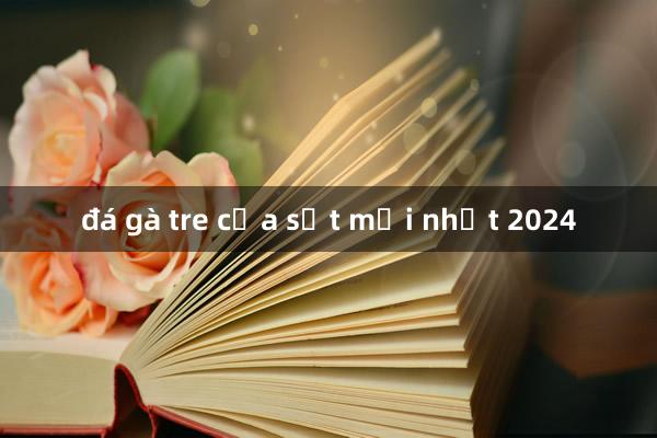 đá gà tre cựa sắt mới nhất 2024