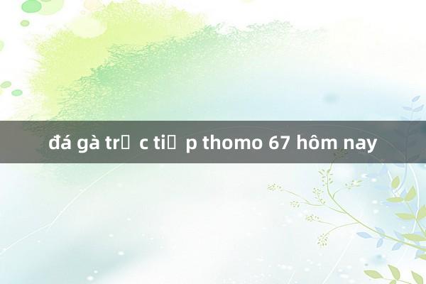 đá gà trực tiếp thomo 67 hôm nay