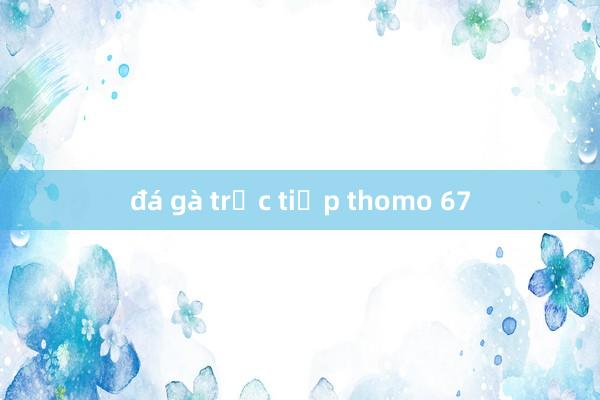 đá gà trực tiếp thomo 67