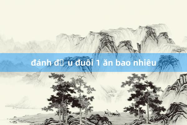 đánh đầu đuôi 1 ăn bao nhiêu