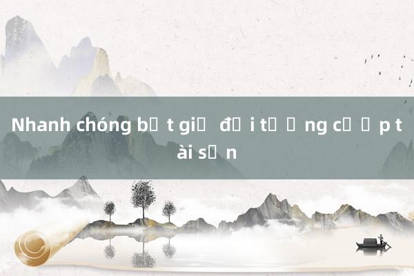 Nhanh chóng bắt giữ đối tượng cướp tài sản