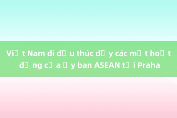 Việt Nam đi đầu thúc đẩy các mặt hoạt động của Ủy ban ASEAN tại Praha