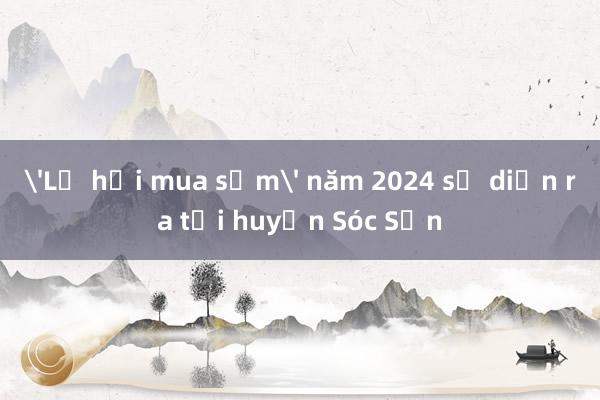 'Lễ hội mua sắm' năm 2024 sẽ diễn ra tại huyện Sóc Sơn