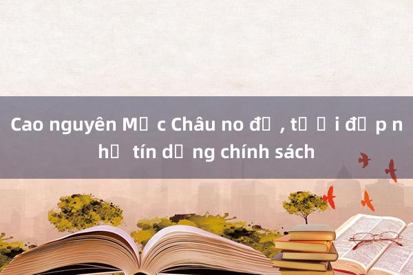 Cao nguyên Mộc Châu no đủ， tươi đẹp nhờ tín dụng chính sách