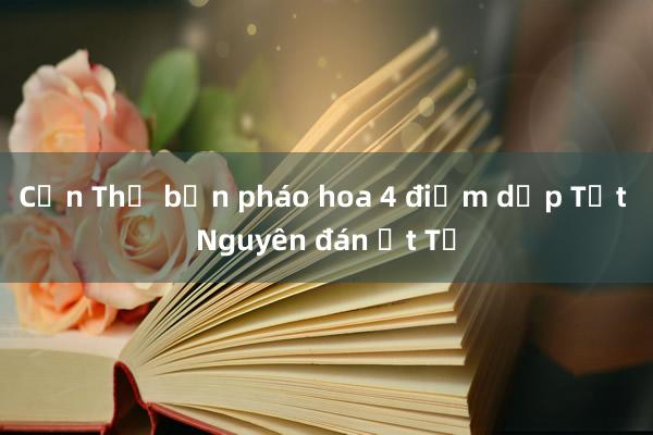 Cần Thơ bắn pháo hoa 4 điểm dịp Tết Nguyên đán Ất Tỵ